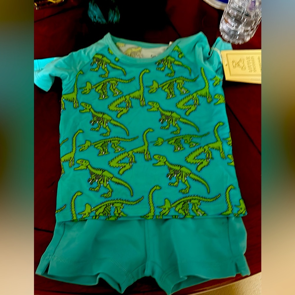 Littld snuggles boys Dino outfit